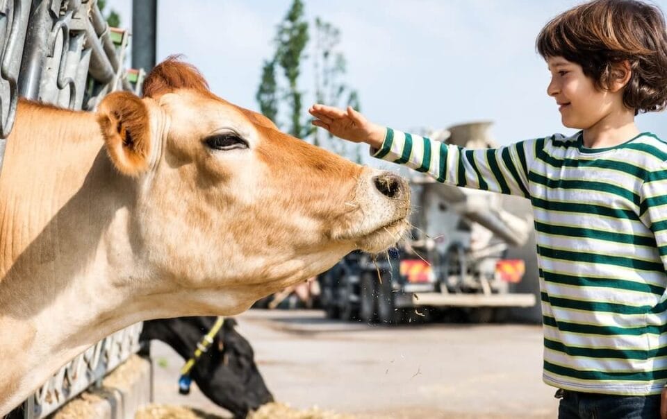 Taller d'alimentacio sana